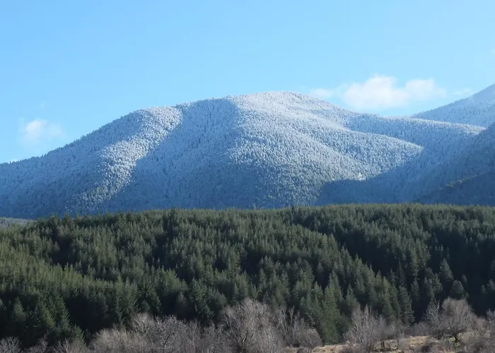 Pirin Heights A-21 близо до пистата Apartment *